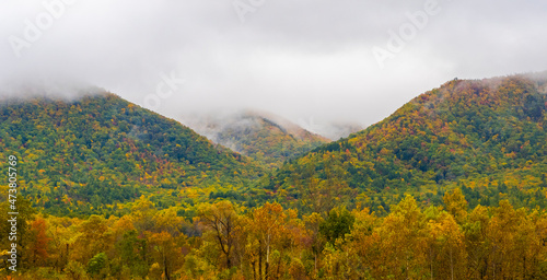 Canvas Print Morning clouds in the mountains in Cades Cove in the Great Smoky Mountains Natio