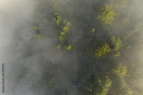 Aerial view of beautiful landscape with pathway in misty forest © New Africa
