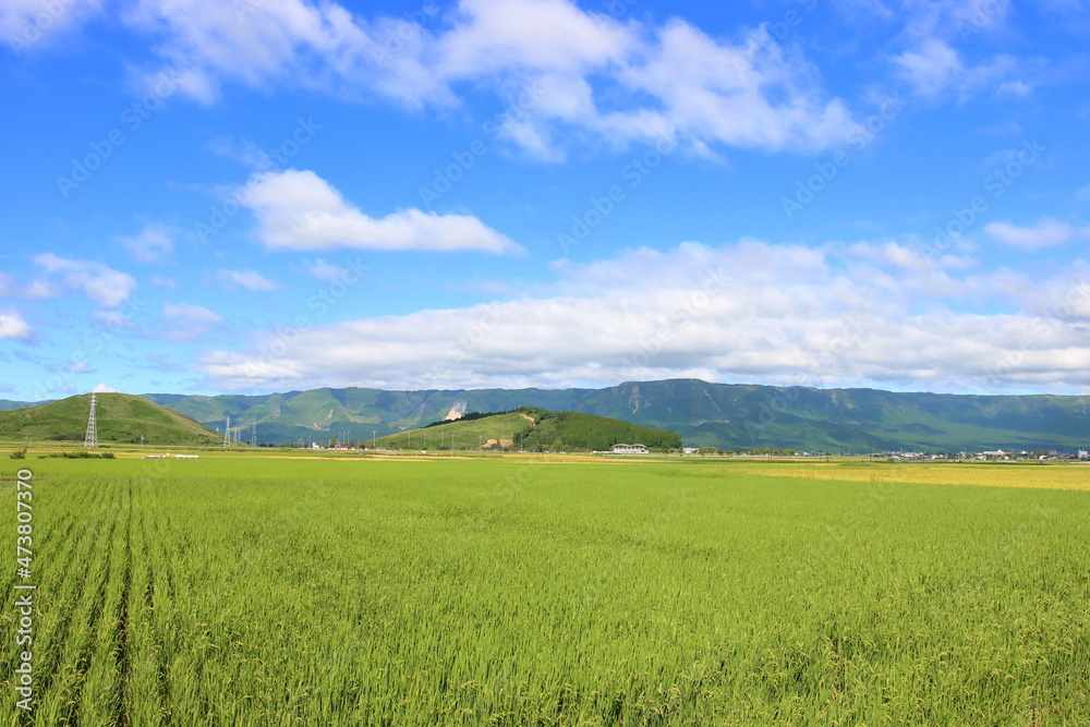 田園風景