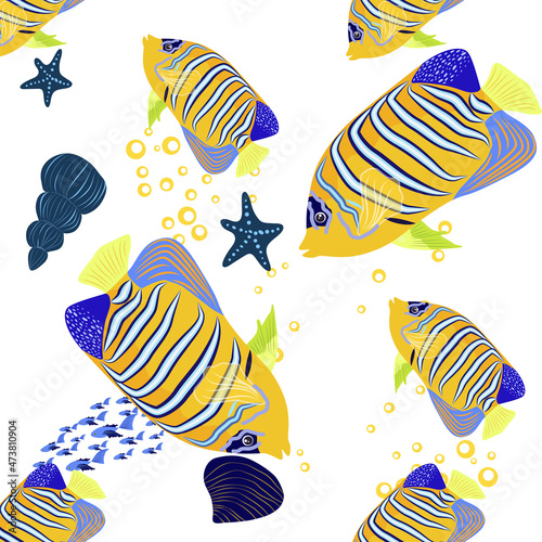 Emperor angelfish Pomacanthus imperator on white, sea animal wildlife character. Nature underwater, marine wild ocean zoo fish. photo