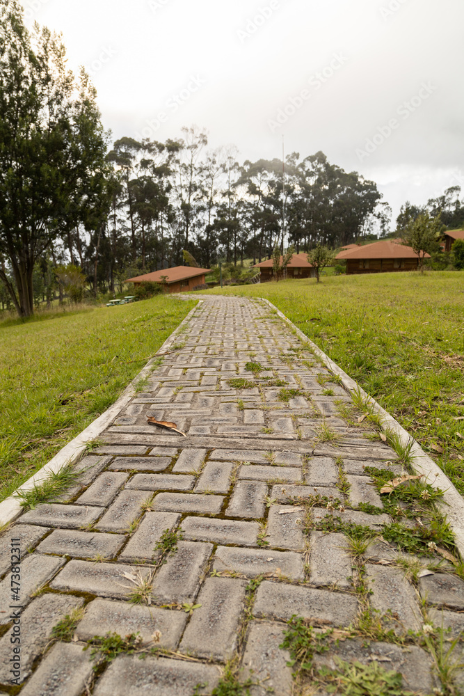 details of a cobblestone path to some small rustic houses in the middle of trees and meadow, lifestyle in the countryside with nature, structure