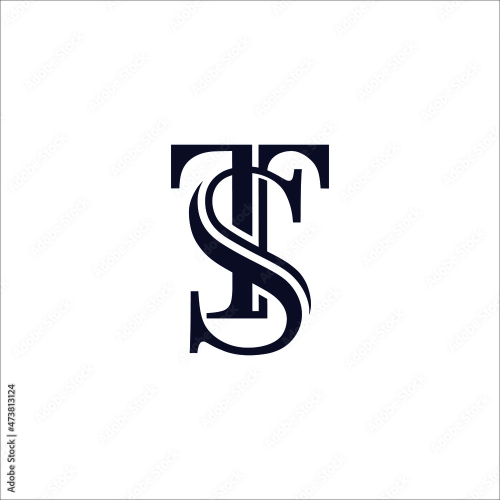 Fototapeta premium TS logo