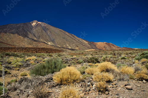 Natural Park of Las Cañadas del Teide, Canary Islands, Spain