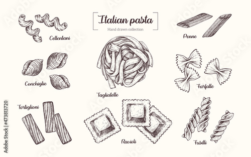 Types of Italian pasta. Vector hand drawn illustration in vintage engraved style. Isolated on white background.