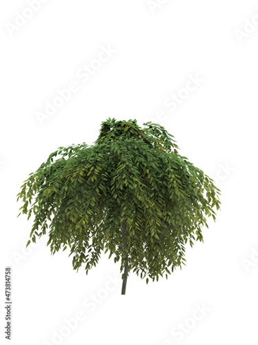 Cutout tree for use as a raw material for editing work. isolated green deciduous tree on white background, 3D illustration, cg render