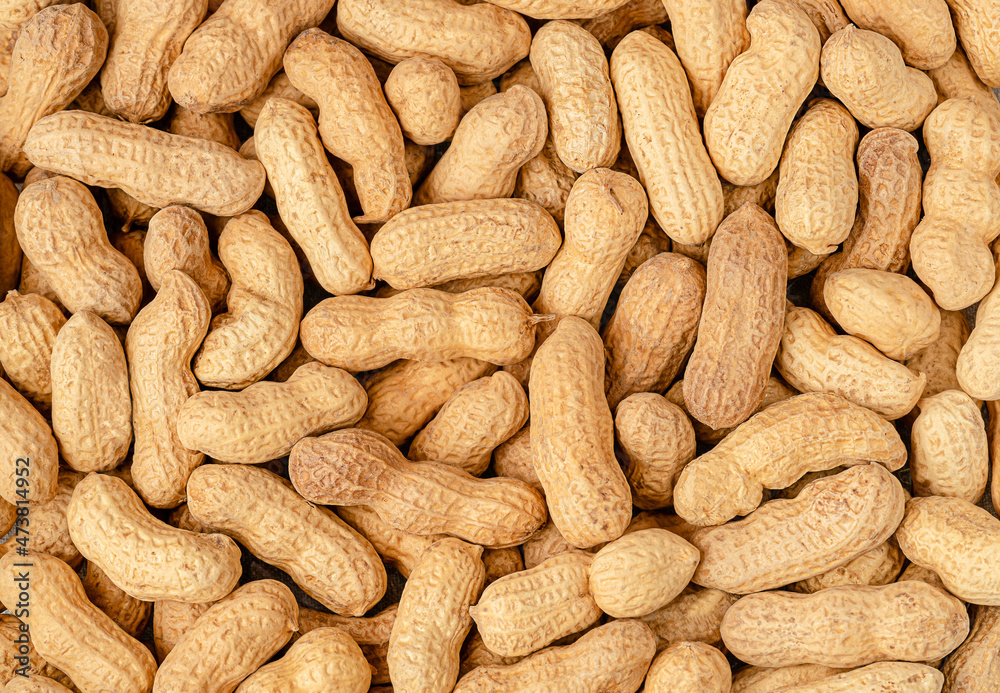 Dried peanut in shell background or texture. Top view Dried peanut in shell background or texture. Top view