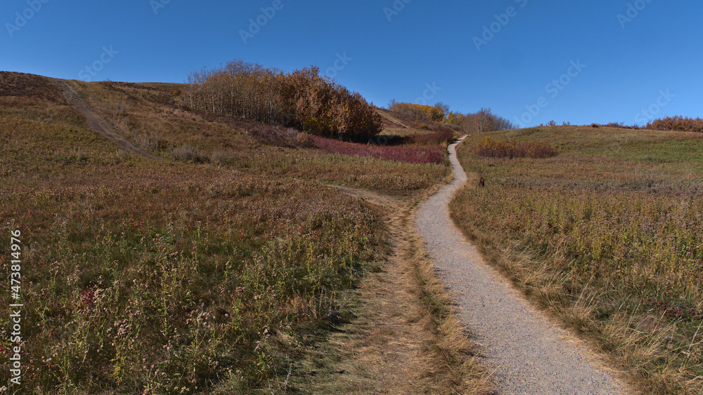Beautiful view of popular Nose Hill Park in the north of Calgary, Alberta, Canada in autumn season with colorful meadows and hiking path on sunny day.