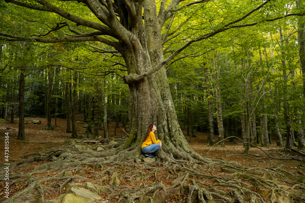 custom made wallpaper toronto digitalYoung woman crouching by tree in forest