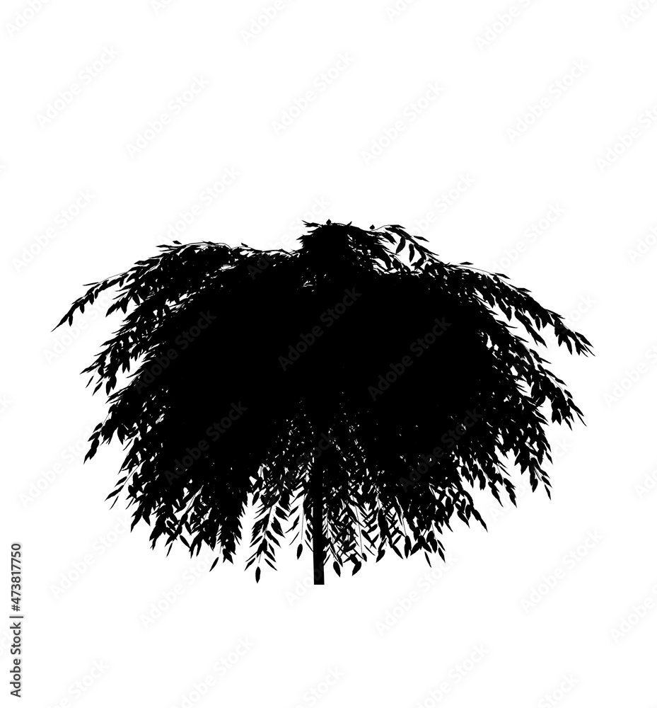Cutout tree for use as a raw material for editing work. Black silhouette of a deciduous tree on a white background Cutout tree for use as a raw material for editing work. Black silhouette of a deciduous tree on a white background