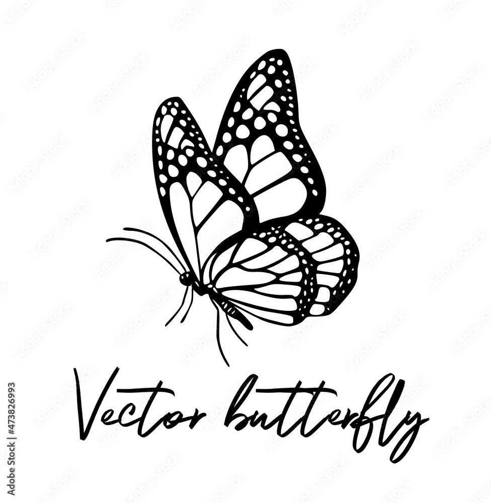 Black Flying Butterfly Outline Silhouette Tattoo Drawing isolate black-flying-butterfly-outline-silhouette-tattoo-drawing-isolate