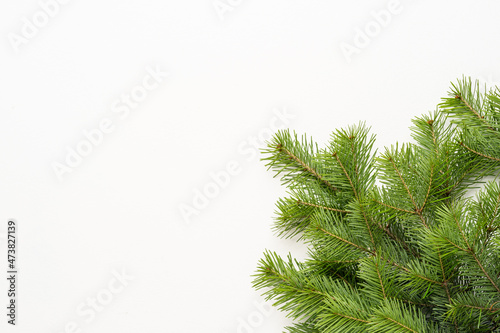 Christmas tree green branches on a white background. Decorations for Christmas and New Year. Top view