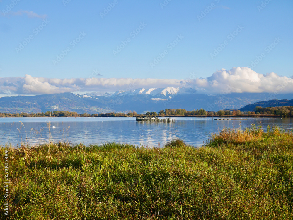 Rheinholz, lowest alp in Vorarlberg, at Lake of Constance with snow-capped mountains in the background. Vorarlberg, Austria.