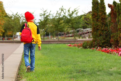 A boy with a red briefcase walks on a green lawn in the park, rear view