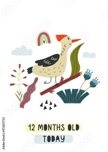 Baby milestone card twelve months old today. Woodpecker bird on a twig. Nursery Month card for lovely moments newborn. Baby Shower hand drawn doodle vector illustration design