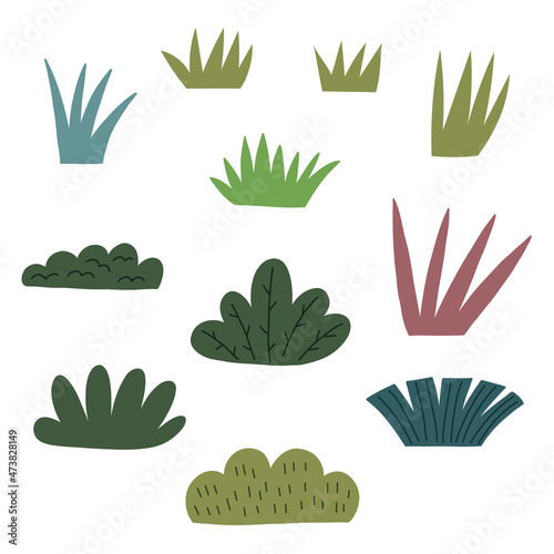 Set forest herb shrubs. Forest grass clipart hand drawn elements in vector naive art illustration