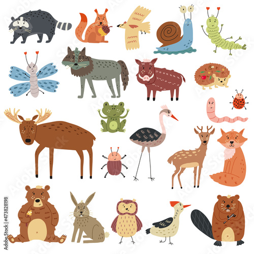 Set naive woodland forest animals. Forest clipart hand drawn creatures in vector illustration