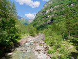 Verzasca river winding through lush-green Verzasca valley, Ticino, Switzerland.