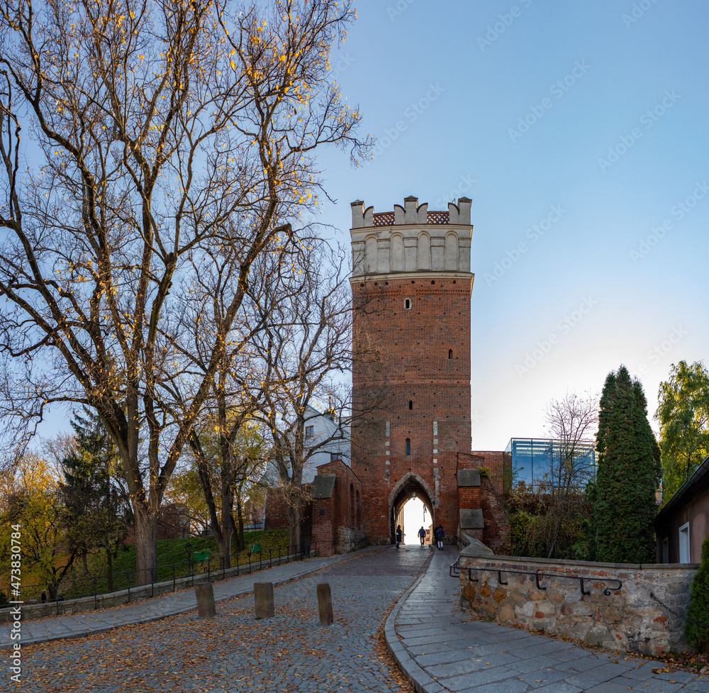 Fototapeta premium Opatowska Gate