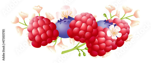 Fototapeta Naklejka Na Ścianę i Meble -  Ripe berries pile. Raspberry and blueberry bunch with wild flowers