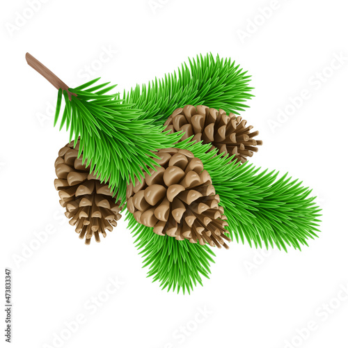 Green Pine Branche with Three Pine Cones. Design Element for Christmas Cards on White Background