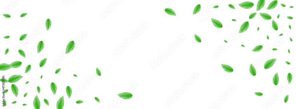 Greenish Plant Background White Vector. Sheet Clear Illustration. Style Card. Light Green Decor Frame. Greenery Life. Greenish Plant Background White Vector. Sheet Clear Illustration. Style Card. Light Green Decor Frame. Greenery Life.