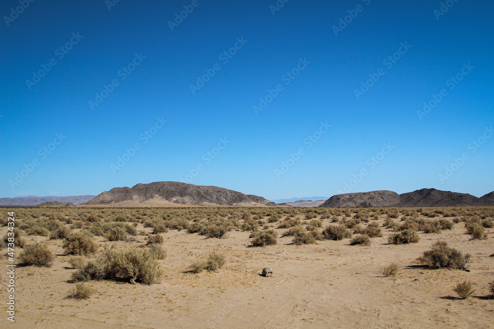 Blick in die Wüste in Nevada. Viel Sand, Berge und wenig Vegetation.