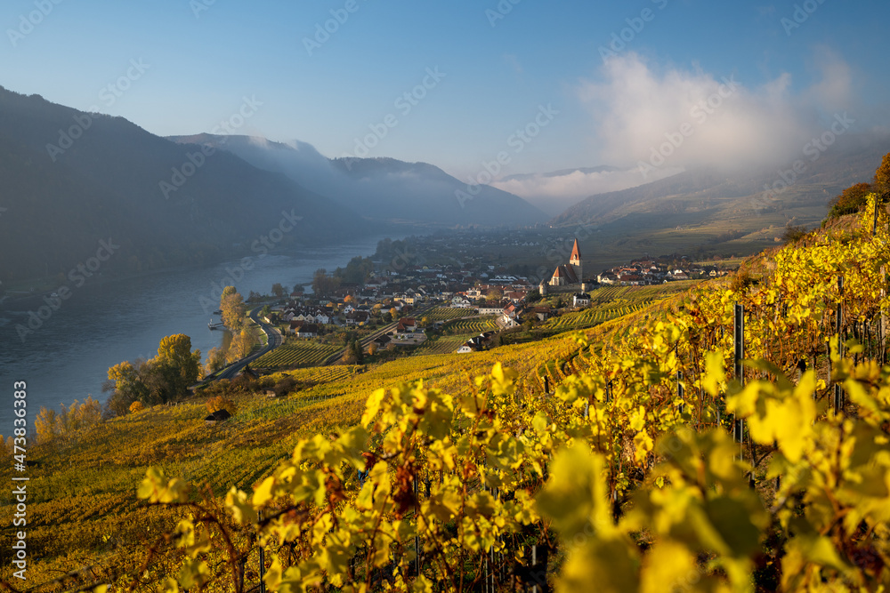 Beautiful autumn landscape with colorful grapevines, Weißenkirchen, Wachau, Austria