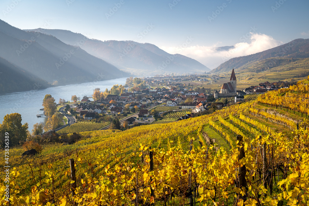 Beautiful autumn landscape with colorful grapevines, Weißenkirchen, Wachau, Austria - obrazy, fototapety, plakaty 