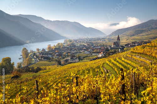 Beautiful autumn landscape with colorful grapevines  Wei  enkirchen  Wachau  Austria