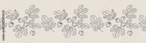 Vector horizontal seamless border with hand darwn fig branch. Eps 10. Line-art botanical illustration. Fruits backdrop
