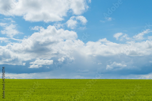 Landschaft Himmel über Wiese © pusteflower9024
