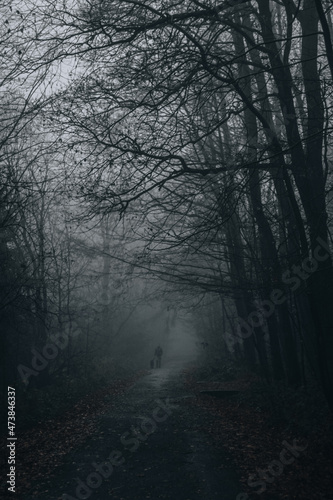Silhouette walking path in dark forest foggy day mysterious scenery moody autumn © Lucie