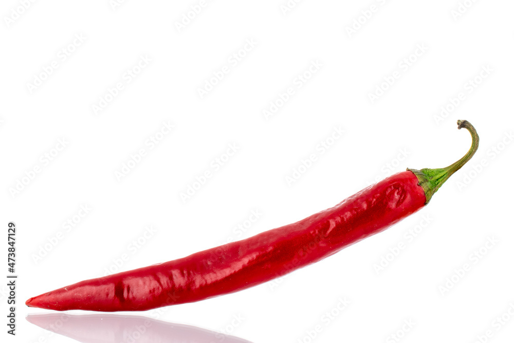 One pod of hot red pepper, close-up. isolated on white. One pod of hot red pepper, close-up. isolated on white.