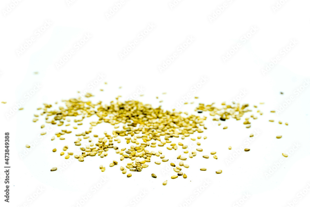 sesame isolated on white background sesame isolated on white background