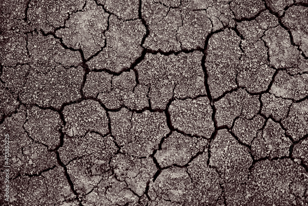 Dry cracked earth. Cracked soil texture. Land with dry and cracked ground. Background. Dry cracked earth. Cracked soil texture. Land with dry and cracked ground. Background.