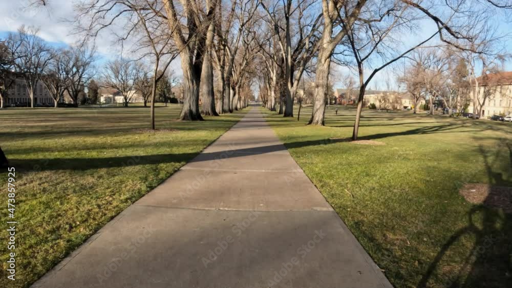 First person POV with a cyclist shadow from riding a touring bike on an alley of old American elm trees in late fall scenery First person POV with a cyclist shadow from riding a touring bike on an alley of old American elm trees in late fall scenery