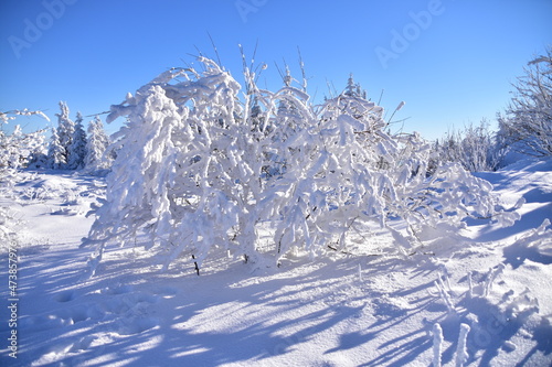 Fototapeta Naklejka Na Ścianę i Meble -  Skrzyczne Peak, Beskidy Mountains, Poland, winter, snow,