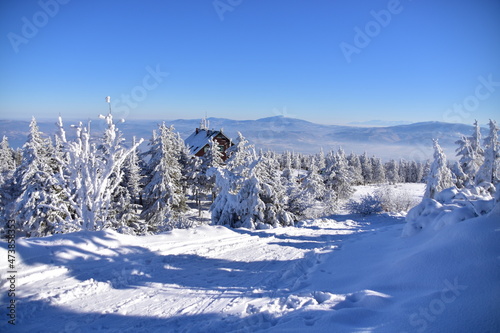 Fototapeta Naklejka Na Ścianę i Meble -  Skrzyczne Peak, Beskidy Mountains, Poland, winter, snow,