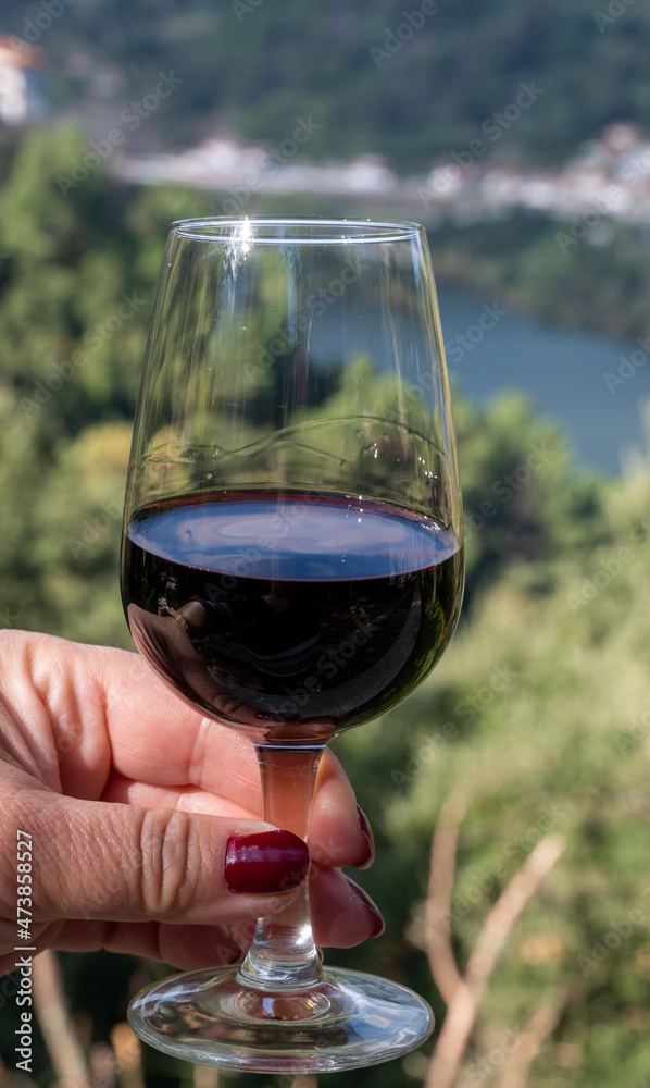 Outdoor tasting of different fortified port wines, hand with glass in sunny autumn, Douro river Valley, Portugal