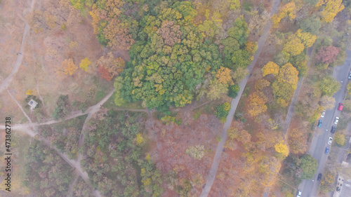 Walkways and footpaths in the city park in autumn. Leaf fall in the park. Aerial view.