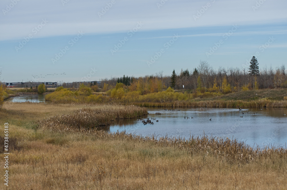 Pylypow Wetlands on a Cloudy Autumn Day