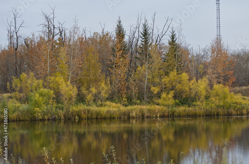 Pylypow Wetlands on a Cloudy Autumn Day