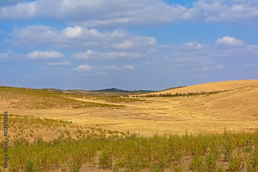 Landscape with barren hills and valley of the Spanish countryside on a suny day with soft clouds in la Codosera, Extremadura, Spain, Europe