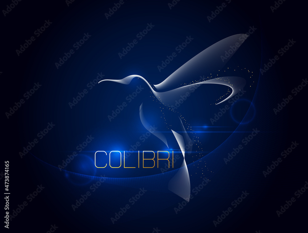 Abstract logo hummingbird bird colibri on a dark blue background. Vector illustration