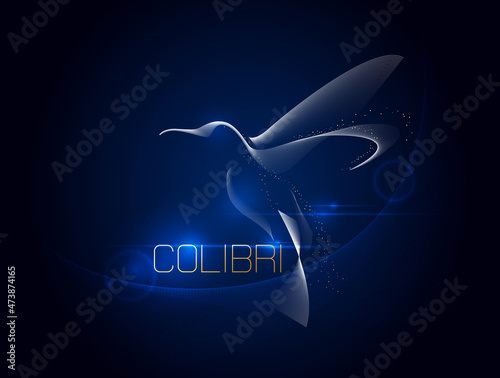 Obraz na płótnie Abstract logo hummingbird bird colibri on a dark blue background. Vector illustration w salonie