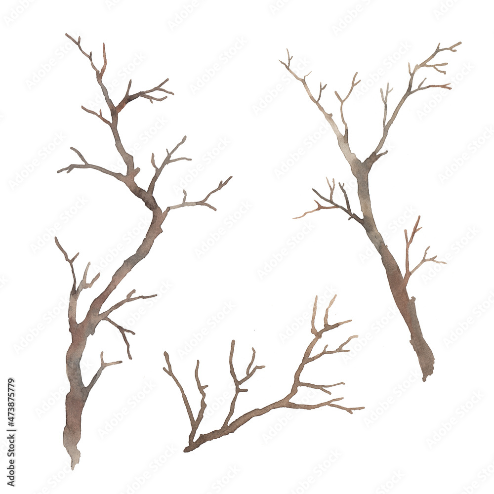 Watercolor tree branches. Tree twigs without leaves silhouette isolated on white background. Clipart illustration Watercolor tree branches. Tree twigs without leaves silhouette isolated on white background. Clipart illustration