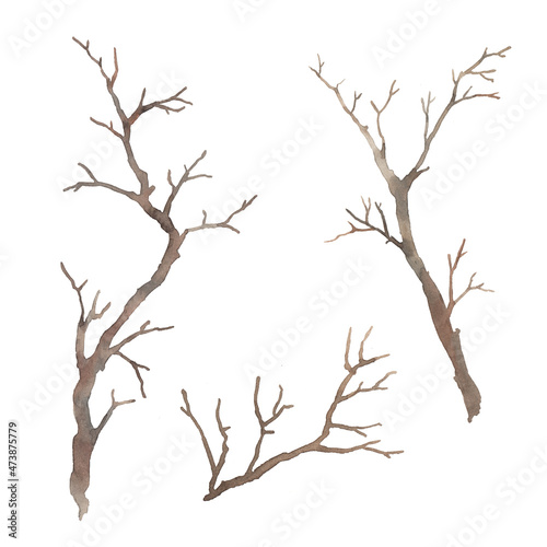 Watercolor tree branches. Tree twigs without leaves silhouette isolated on white background. Clipart illustration