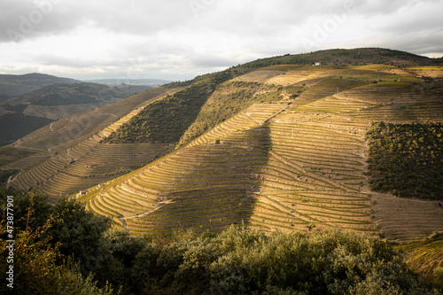 vineyards of Douro Wine Region on the slopes of Douro river, Municipality of Sao Joao da Pesqueira, Viseu, Portugal photo