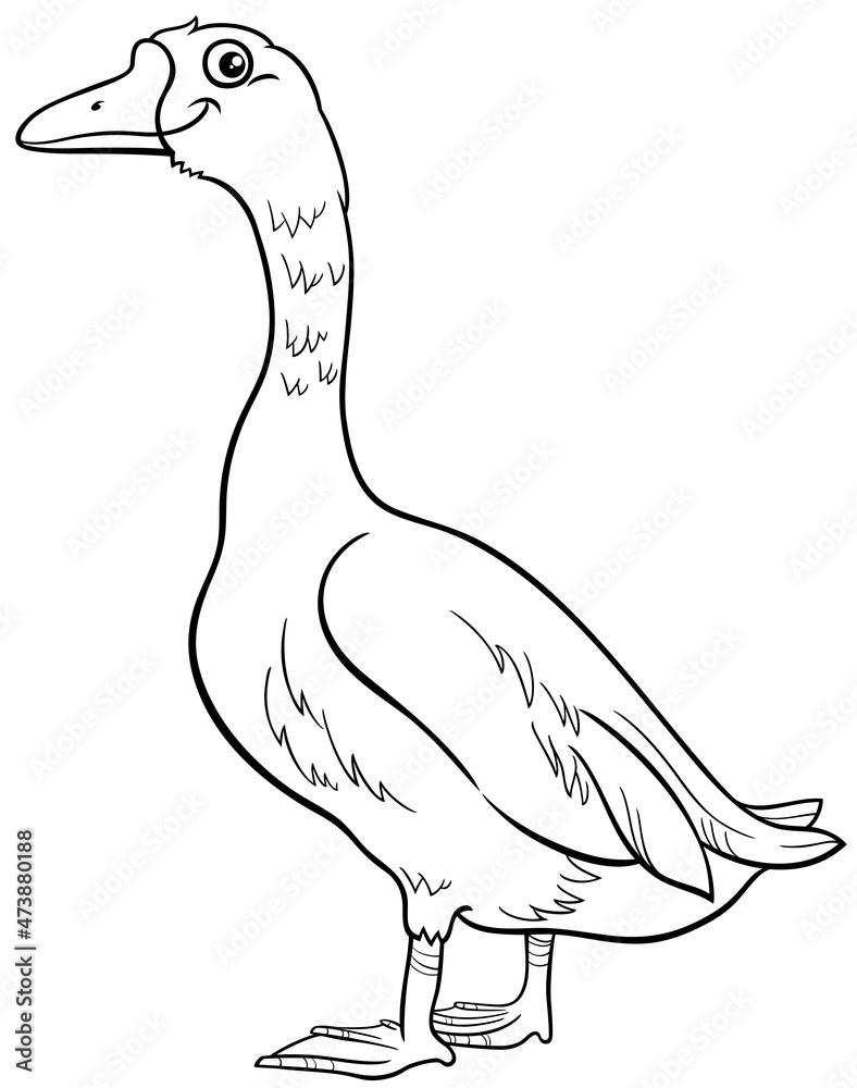 cartoon goose bird farm animal character coloring book page vector de Stock  | Adobe Stock