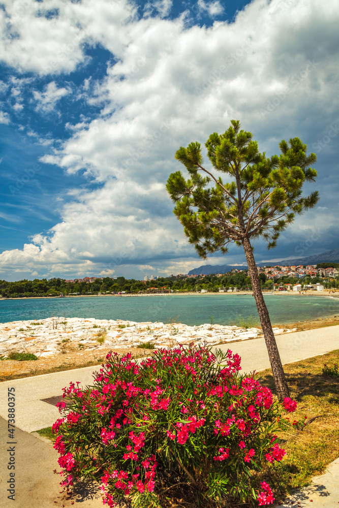 Adriatic coast in the village Podstrana, near of Split town, Croatia, Europe.